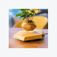 ssuport plutitor plante Ghiveci magnetic pentru bonsai plutitor, stil nordic – un cadou modern si creativ pentru decorarea locuintei