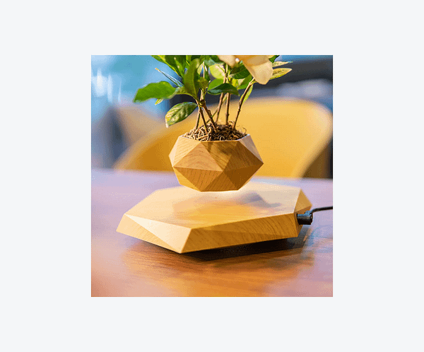 ssuport plutitor plante Ghiveci magnetic pentru bonsai plutitor, stil nordic – un cadou modern si creativ pentru decorarea locuintei