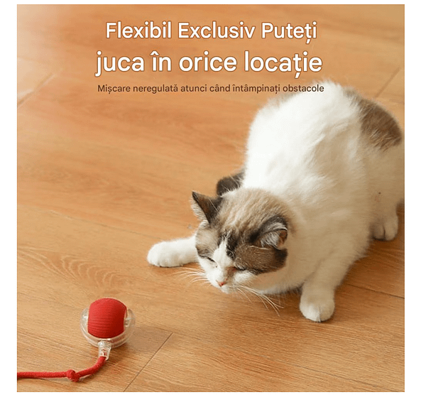 Screenshot 2025-05-13 163827 Jucarie Interactiva Smart pentru Pisici – Distractie Nesfarsita pentru Felina Ta